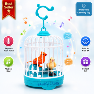 Talking Bird Toy